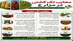 معایب تک کشتی در مزارع
