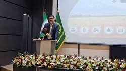 «نوسانات اقلیمی» چالش اصلی تولیدات کشاورزی 