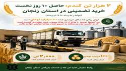 ۲هزار تن گندم؛ حاصل ۱۰ روز نخست خرید تضمینی در استان زنجان 
