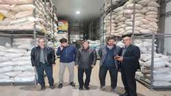بازدید از سردخانه پنج هزار تنی شهرستان دلفان و نظارت بر نحوه توزیع سیب زمینی های موجود 
