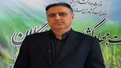 توزیع ۱۹ تن مرغ گرم و منجمد در دهگلان