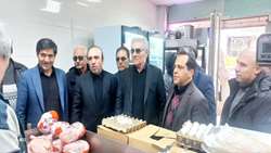 نظارت بر کالاهای اساسی ‌در استان اردبیل 