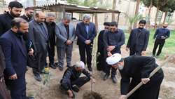غرس «نهال میثاق» در محوطه مصلای زاهدان به یاد رهبر شهید