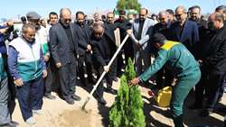 غرس نهال با حضور استاندار و رئیس سازمان در روز درختکاری