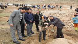 کاشت نهال کارکنان سازمان جهاد کشاورزی خراسان شمالی بمناسبت گرامیداشت شهادت قائد امت و هفته درختکاری 