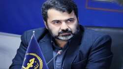 ارسال بیش از ۷۲۰ تن گوشت مرغ از گلستان به تهران