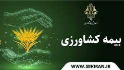 پایان اجرای بیمه فراگیر گندم/ حق بیمه سهم کشاورز توسط دولت پرداخت می‌شود 