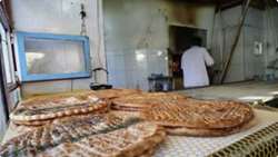 ذخایر کالاهای اساسی در هرمزگان در شرایط مطمئن قرار دارد/ عرضه مستقیم اقلام ضروری در نمایشگاه بهاره بندرعباس 