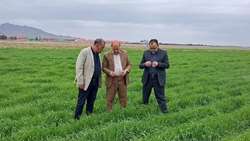 گامی مؤثر در مسیر خودکفایی کشاورزی