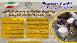 پیشرفت نوین در تغذیه دام با بلوک‌های نمکی یُددار؛ جهشی در بهره‌وری و امنیت غذایی کشور