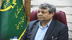 نوسانات مقطعی قیمت مرغ در سیستان و بلوچستان کنترل و بازار به ثبات رسید