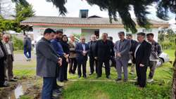 هم‌افزایی دولت و بخش خصوصی در پرورش گل و‌ گیاه زینتی در لنگرود