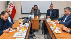 اقدامات ضربتی برای پایداری شبکه نان در خراسان جنوبی؛ از صحت‌سنجی نانوایی‌های دوگانه‌سوز تا جذب کامل تسهیلات نانوایان استان