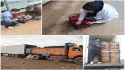 سازمان حفظ نباتات کشور 