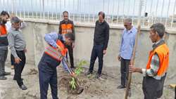 کاشت ۳۰ اصله نهال انبه در رودان در ادامه پویش ملی سرو ایران