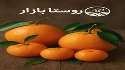 توسعه روستا بازار  پل ارتباطی بین تولیدکنندگان روستایی و مصرف‌کنندگان شهری