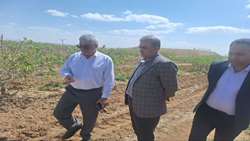شتاب مروست در توسعه کشاورزی با تکیه بر بخش خصوصی