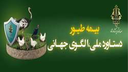 پوشش بیمه‌ای ۱.۸ میلیارد قطعه طیور و پرداخت ۳۳۰۰ میلیارد ریال خسارت در سال ۱۴۰۴/ پایداری تولید در زنجیره تأمین پروتئین کشور ارتقا می‌یابد