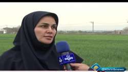 پایش ۶۸۰ عامل خسارت‌زا در حفظ نباتات جهادکشاورزی خراسان رضوی