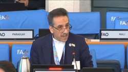 بدون مجازات متجاوزان نمی‌توان برای امنیت ‏غذایی تلاش کرد/ ضرورت حفظ انصاف، آزادگی و استقلال فائو