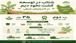  شتاب در توسعه کشت نخود دیم در آذربایجان شرقی