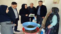  نقش کلیدی زنان روستایی در ترویج و توسعه نوغانداری  در آذربایجان شرقی