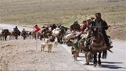 کوچ بهاره یکهزار خانوار عشایر استان تهران آغاز شد 