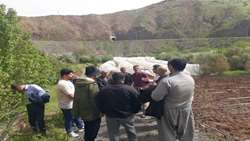 برگزاری سه دوره آموزشی در کردستان برای توانمندسازی بهره‌برداران