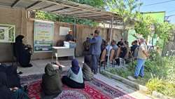 تلاش جهاد کشاورزی برای ارتقای دانش زنبورداران کهگیلویه