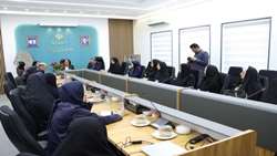 توسعه مشاغل خانگی بانوان ظرفیتی برای تقویت اشتغال پایدار در یزد