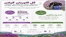 گل گاوزبان گیلان محصولی بومی با پتانسیل جهانی