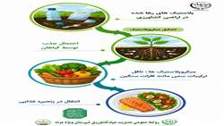  ورود آلاینده های پلاستیکی به زنجیره غذایی از طریق خاک؛ تهدیدی پنهان برای سلامت انسان