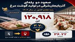 آذربایجان‌شرقی روی پله هفتم تولید مرغ کشور