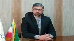 توقیف ۵۱۷ رأس دام فاقد مجوز بهداشتی در همدان