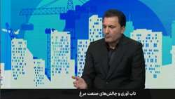 وضعیت عرضه مرغ به زودی متعادل می‌شود