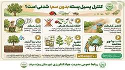 مدیریت پسیل پسته بدون سم 