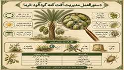 آشنایی با دستورالعمل مبارزه با آفت کنه گردآلود خرما