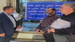 برخورد با تخلفات کالاهای اساسی در شهرستان قرچک/ معدوم‌سازی مرغ‌های فاسد