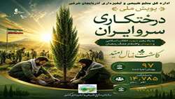 مشارکت گسترده مردم در ۹۷ پویش درختکاری  سرو ایران در آذربایجان شرقی