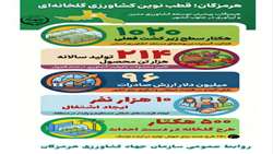 توسعه کشت گلخانه ای در استان هرمزگان