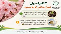 دو تکنیک برای تبدیل حداکثری گلهای درختان به میوه