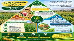 مثلث طلایی موفقیت در دیم زارها( بذر پاک، تناوب هوشمند، سود پایدار)