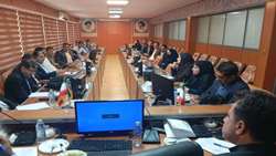 گیاهان دارویی؛ محور تحول‌آفرین اقتصاد کشاورزی کهگیلویه و بویراحمد