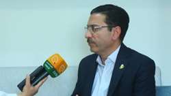 آزمایش روش تزریقی برای درمان درختان آلوده به سرخرطومی حنایی