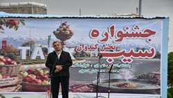 شهرستان میانه یکی از سه قطب تولید سیب‌ در آذربایجان شرقی 