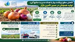  تولید ۶۹ هزار و ۵۰۰ تن پیاز در آذربایجان شرقی