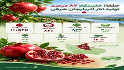 جلفا خاستگاه ۸۲ درصد تولید انار آذربایجان شرقی 