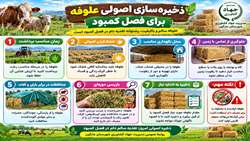 ذخیره سازی اصولی علوفه برای فصل کمبود 