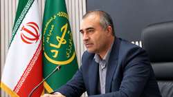 پیش بینی تولید ۲۵ هزار تن سیر در آذربایجان‌غربی