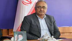 تأمین ۱۲ درصد گوشت مرغ کشور در مازندران مشروط به عبور از ناترازی انرژی